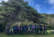 WhatsApp Image 2026-03-26 at 16.33.09(3) (FILEminimizer)